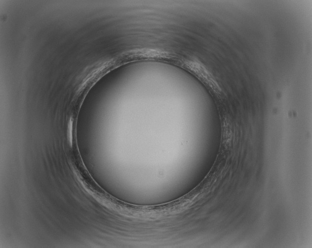 X0000083060014200702161808