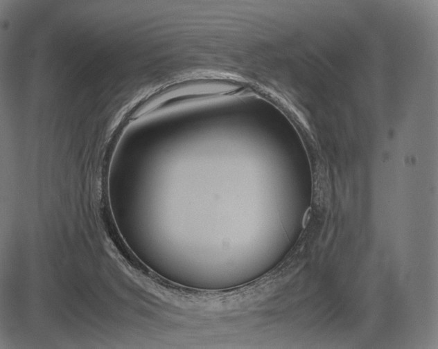 X0000083060015200702161808