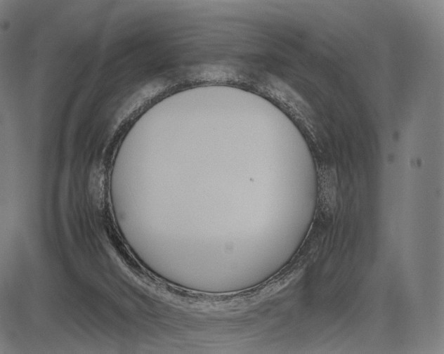 X0000083060016200702161808