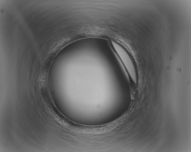 X0000083060017200702161808