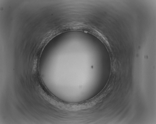 X0000083060018200702161808