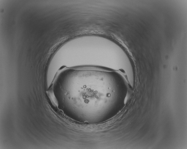 X0000083060019200702161808