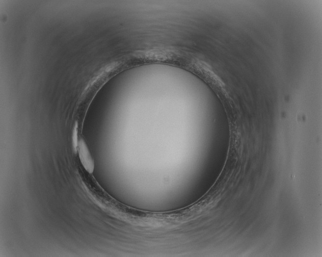 X0000083060020200702161808