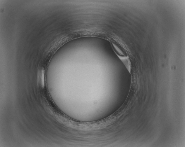 X0000083060022200702161808