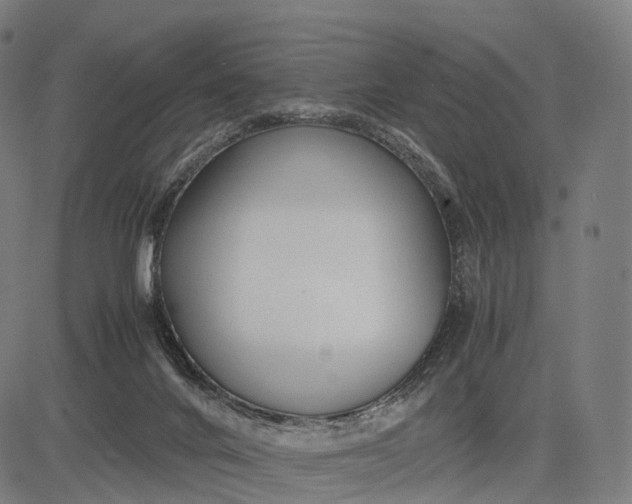 X0000083060024200702161808