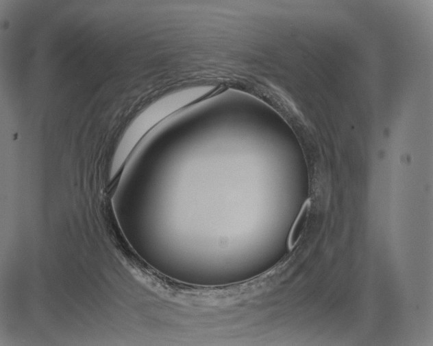 X0000083060025200702161808