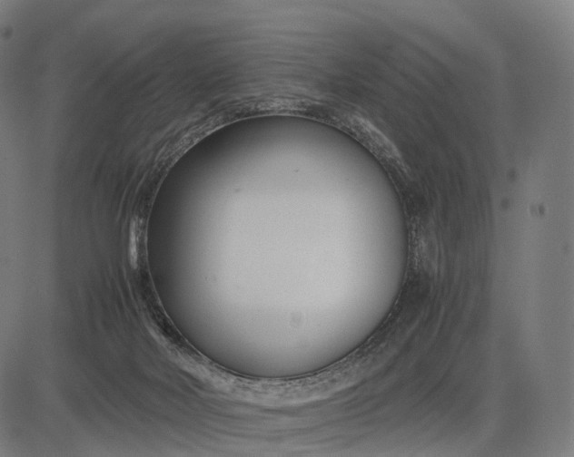 X0000083060026200702161808