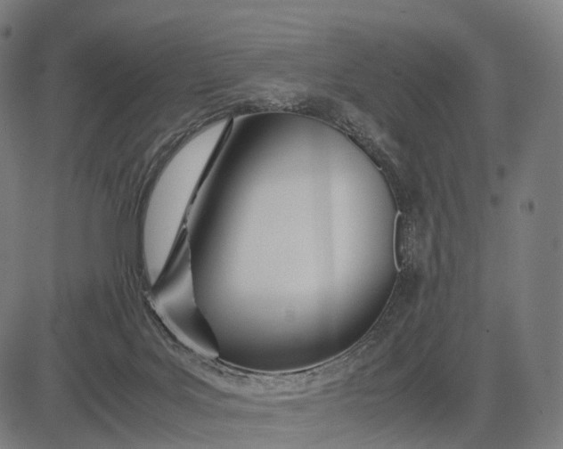 X0000083060027200702161808