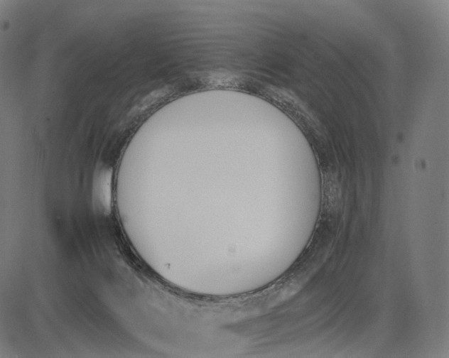 X0000083060028200702161808