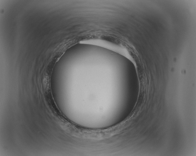 X0000083060029200702161808