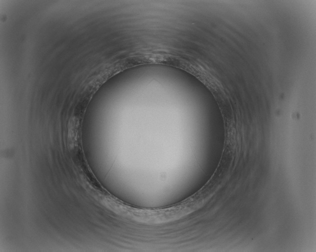 X0000083060030200702161808