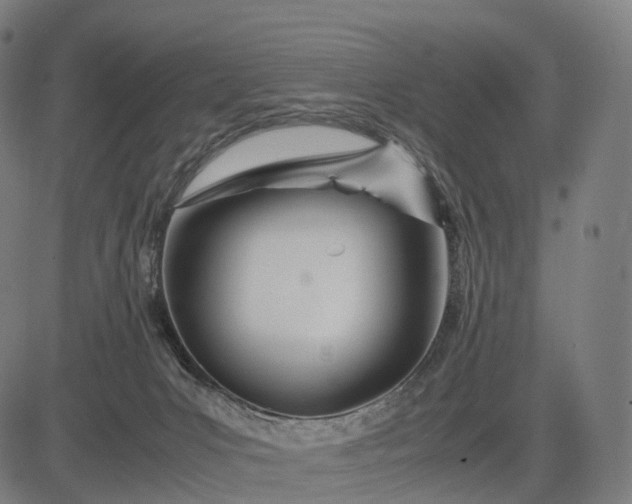 X0000083060031200702161808