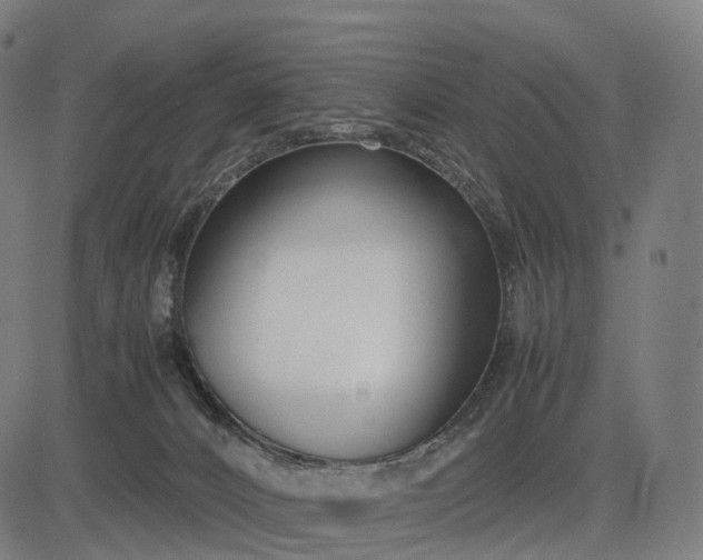 X0000083060032200702161808