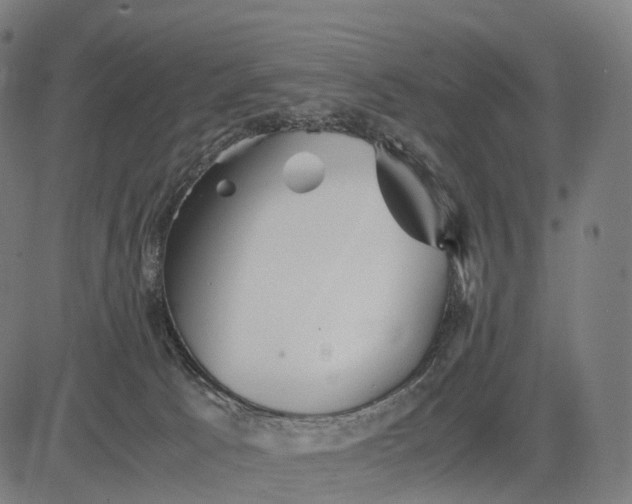 X0000083060033200702161807