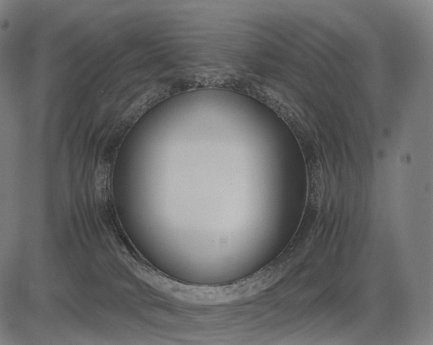 X0000083060034200702161807