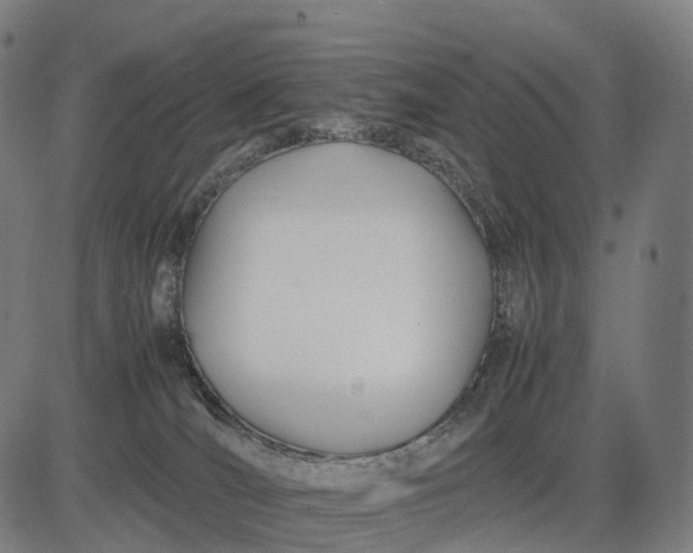 X0000083060036200702161807