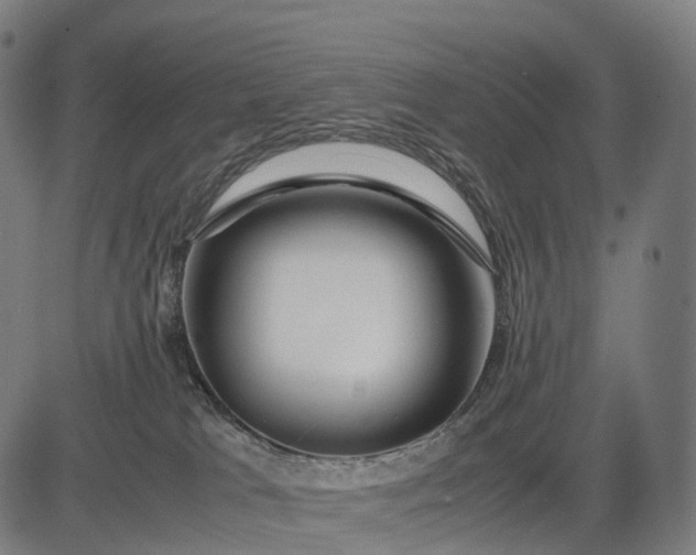 X0000083060037200702161807