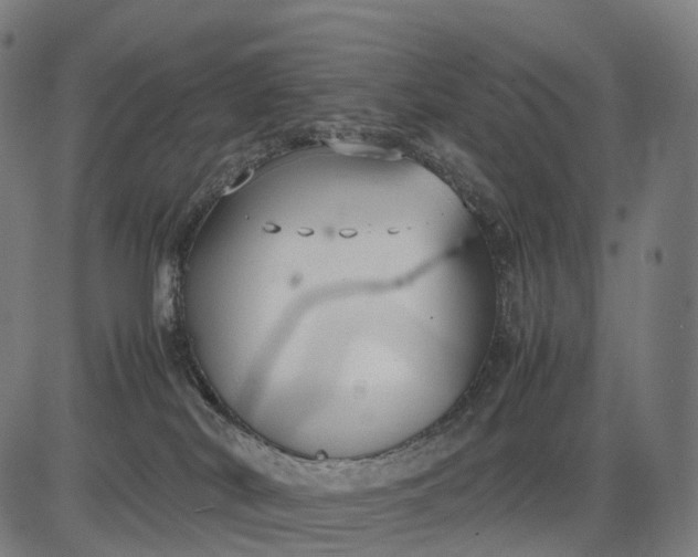 X0000083060038200702161807