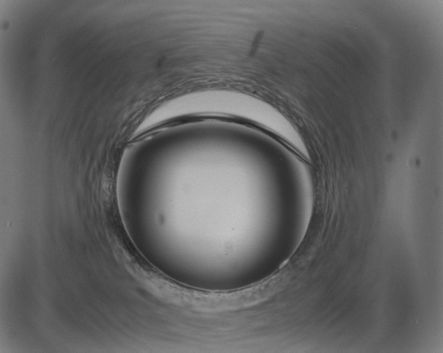 X0000083060039200702161807