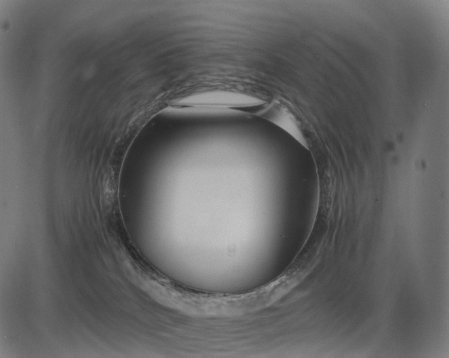 X0000083060040200702161807