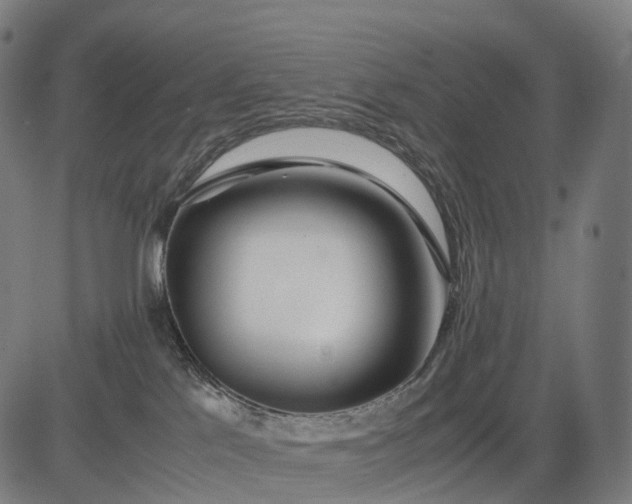 X0000083060041200702161807