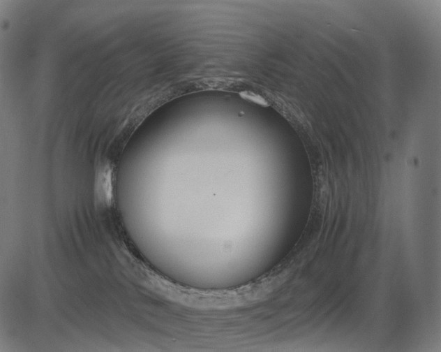 X0000083060042200702161807