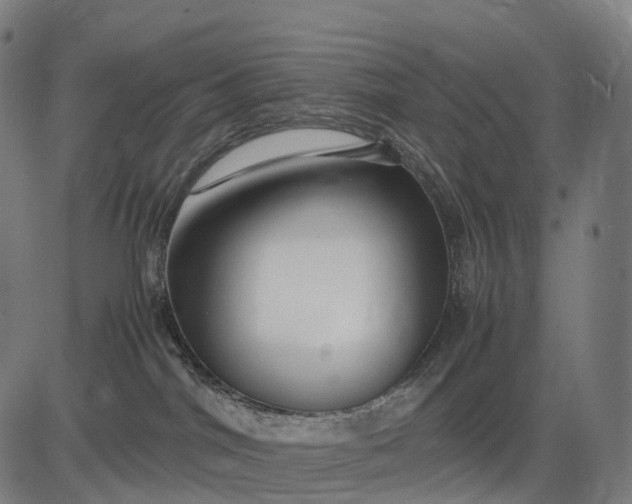 X0000083060044200702161807