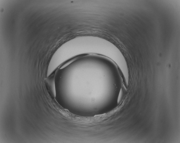 X0000083060045200702161807