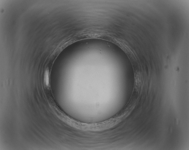 X0000083060046200702161807