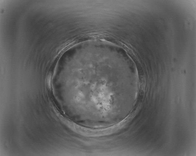 X0000083060047200702161807