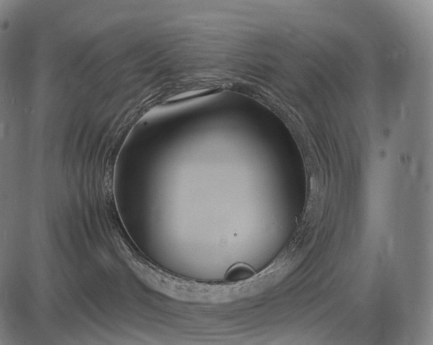 X0000083060048200702161807