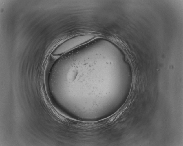 X0000083060049200702161806