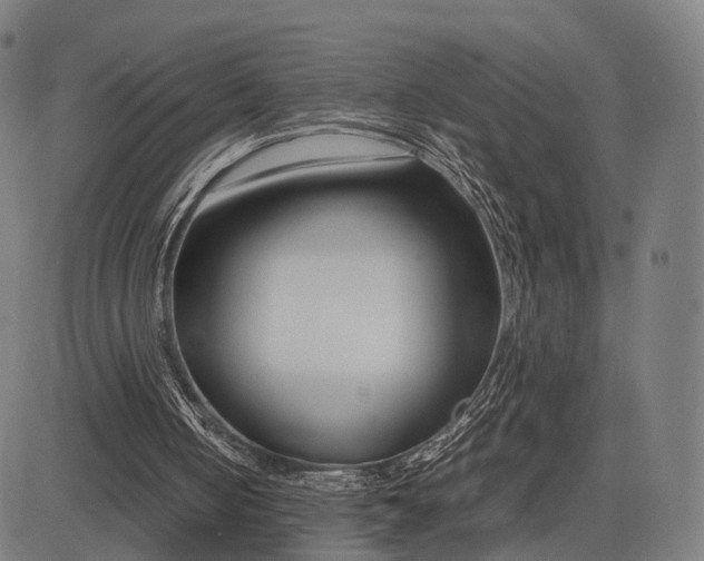 X0000083060050200702161806