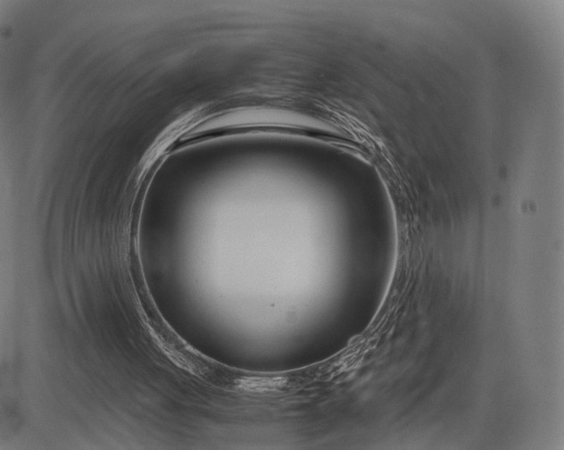 X0000083060051200702161806