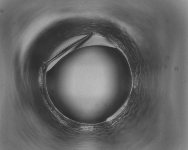 X0000083060052200702161807