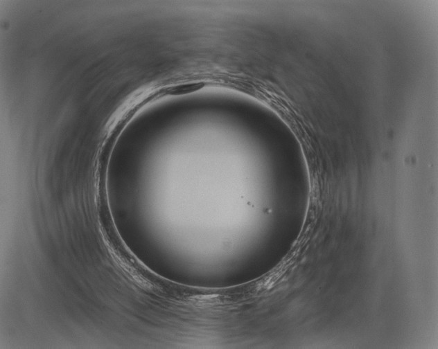 X0000083060054200702161807