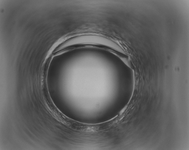 X0000083060056200702161807