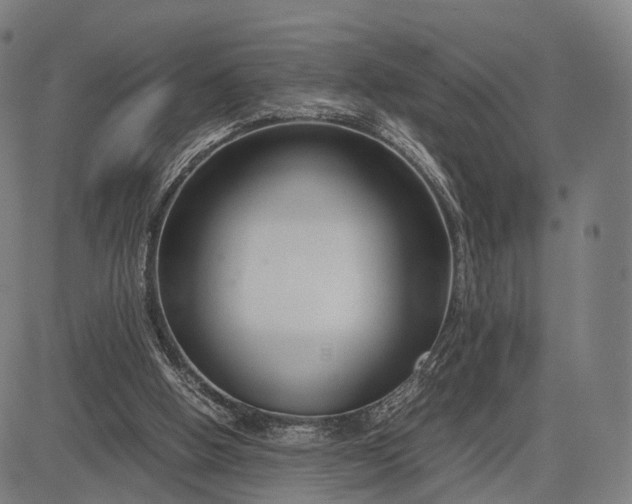 X0000083060058200702161807