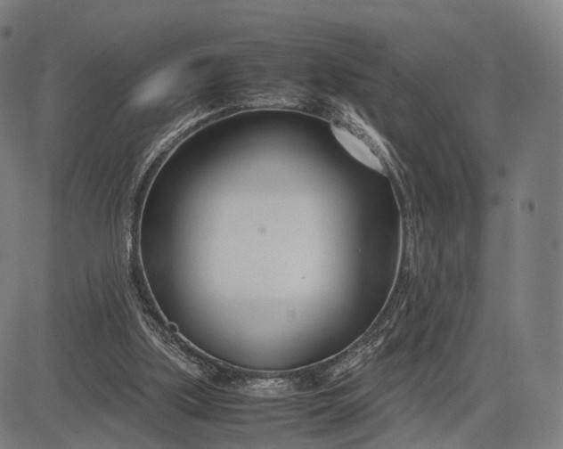 X0000083060059200702161807