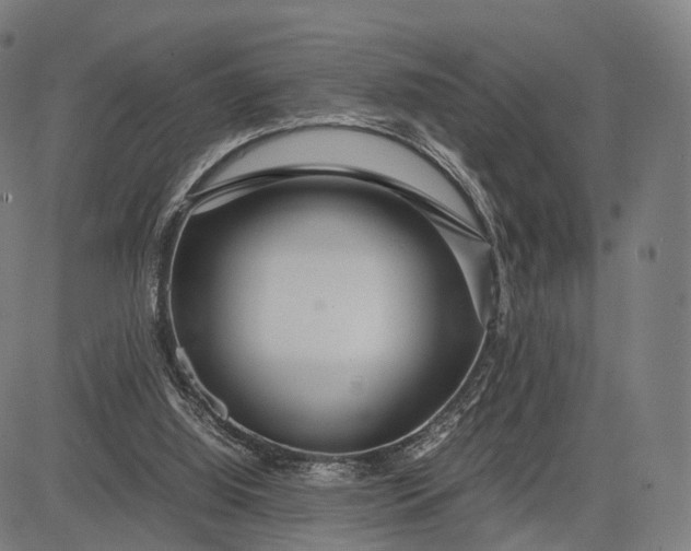 X0000083060060200702161807