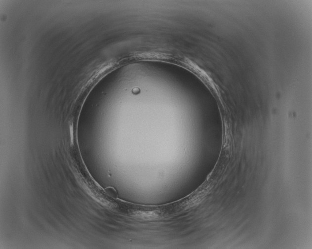 X0000083060061200702161807