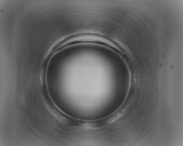 X0000083060064200702161807