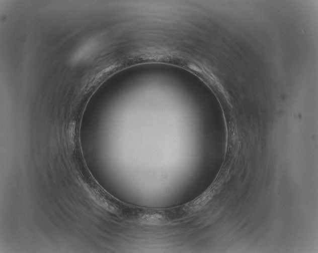 X0000083060066200702161807