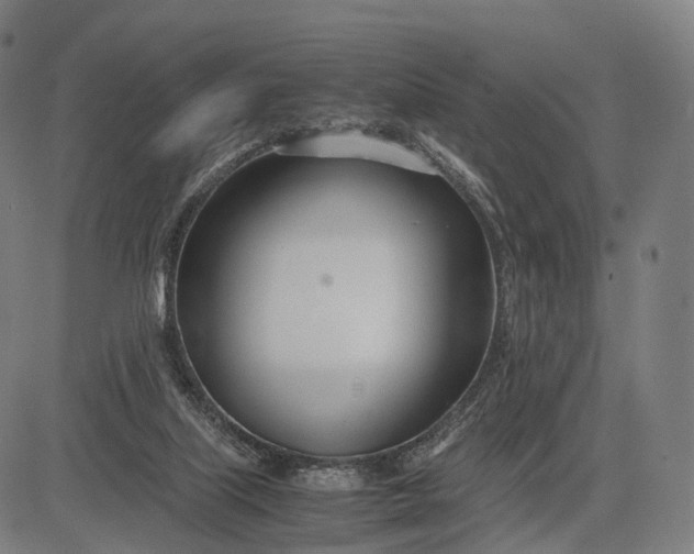 X0000083060067200702161807