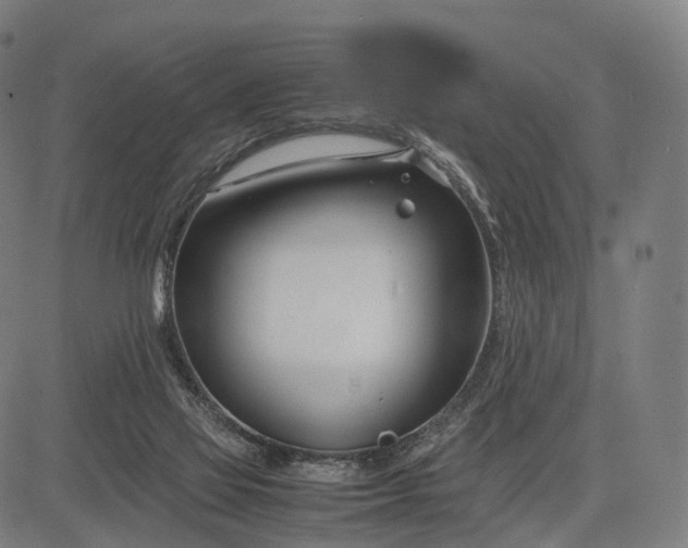 X0000083060069200702161807