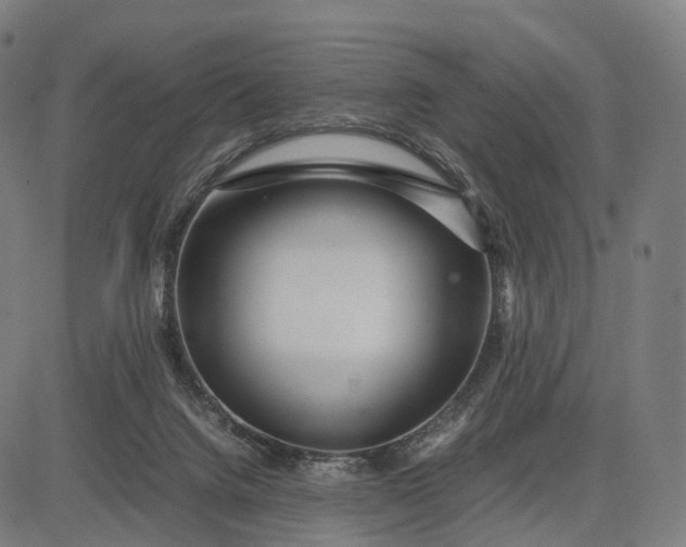 X0000083060072200702161807