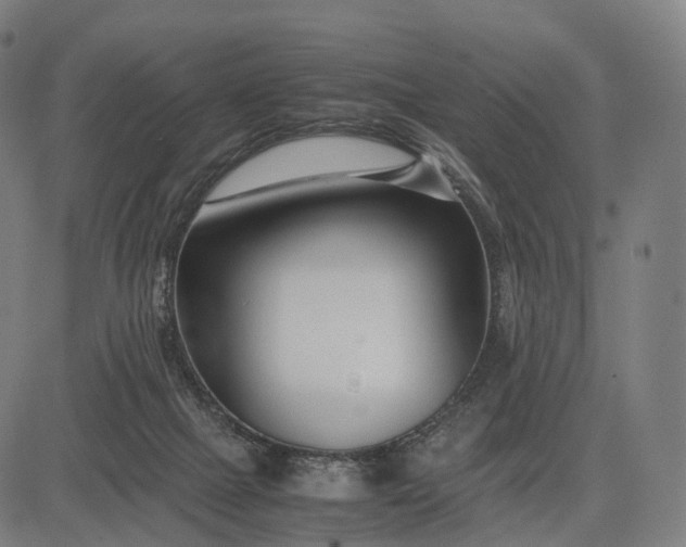 X0000083060073200702161807