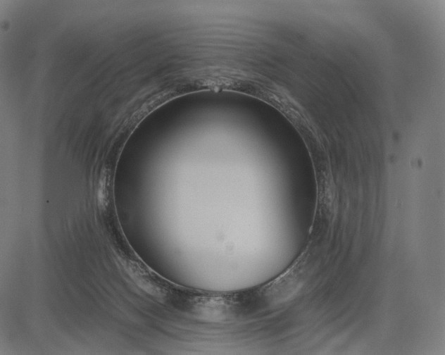 X0000083060074200702161807