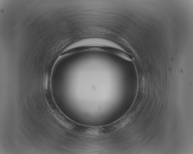 X0000083060076200702161807