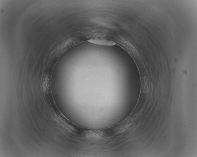 X0000083060077200702161807